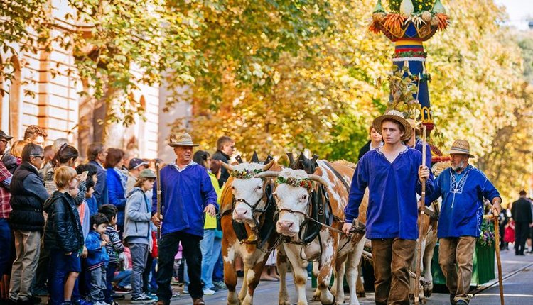 Vortrag zur Entwicklung des Cannstatter Volksfestes